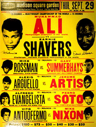 alishavers alishavers