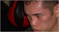 nonito_donaire_image