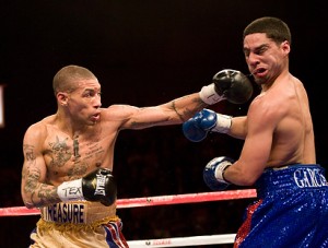 ashley-theophane ashley-theophane