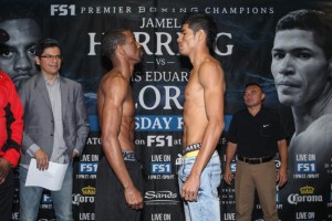Herring_Flores_Weigh in