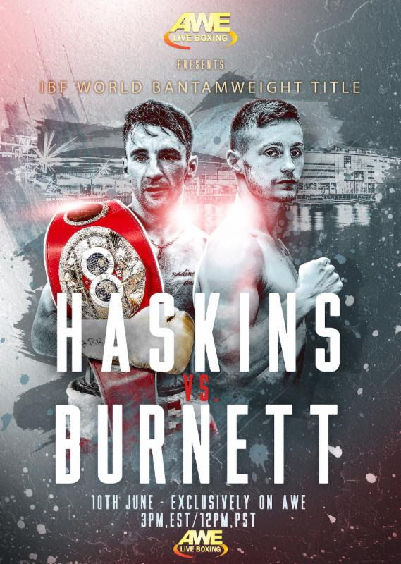 Haskin_Burnett_Artwork