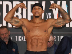 YARDE RETURNS ON ZHANG VS JOYCE II