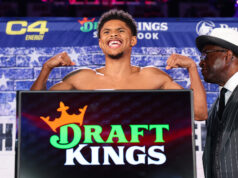 Shakur Stevenson Decision Teofimo Lopez to Become Four-Division Champion